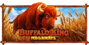 ภาพเกม Buffalo King Megaways ที่ play24th รวบรวมไว้